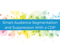 Smart audience segmentation and suppression with a CDP | Lytics Decision Engine CDP for Marketers