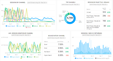 The Dream Team: Web Analytics and Digital Marketing Analytics