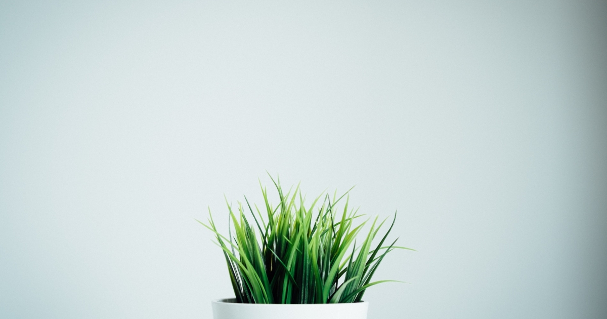 3 tips for starting a UX division from scratch