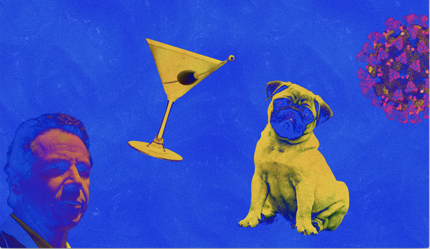 Test Your Coronacabulary: An Interactive Match Game