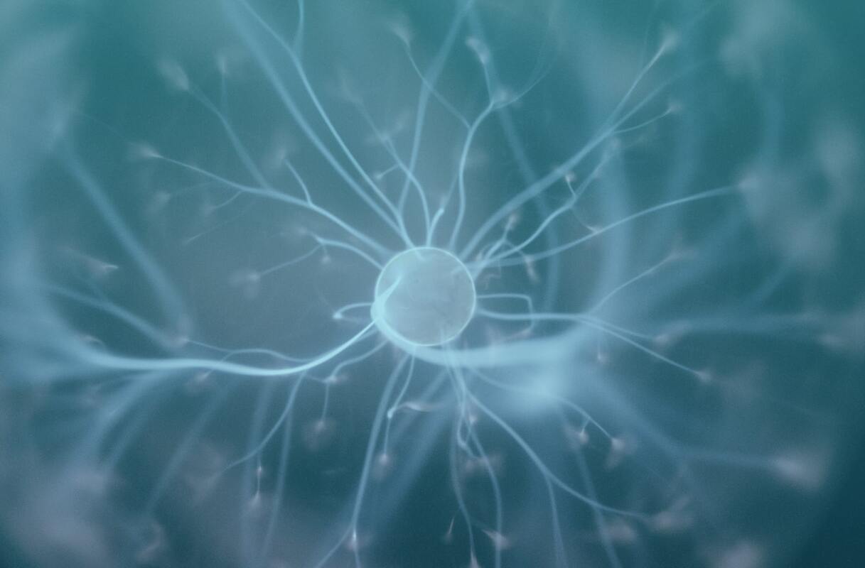 Conversion Copywriting: What Is It and How to Use It