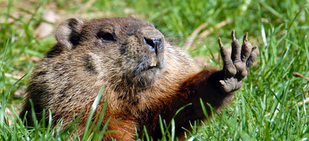 How to Stop Repeating the Same Old Event Mistakes