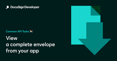 Common API Tasks🐈: View a complete envelope from your app