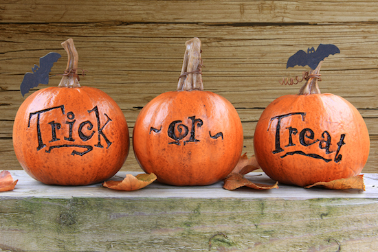 Is Your Small Business Email Marketing a Trick or Treat?