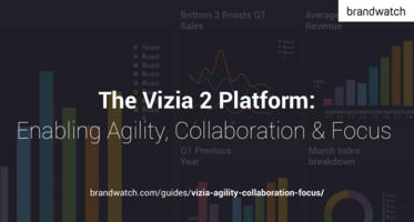 Vizia: Enabling Agility, Collaboration, & Focus
