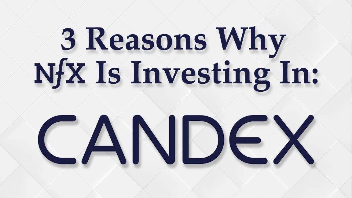 3 Reasons Why NFX Invested In Candex
