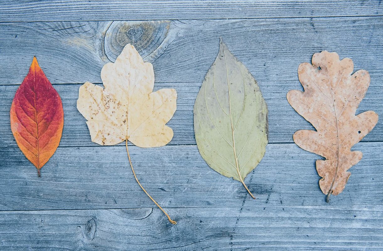 6 Ideas to Repurpose Content that Require Very Little Effort