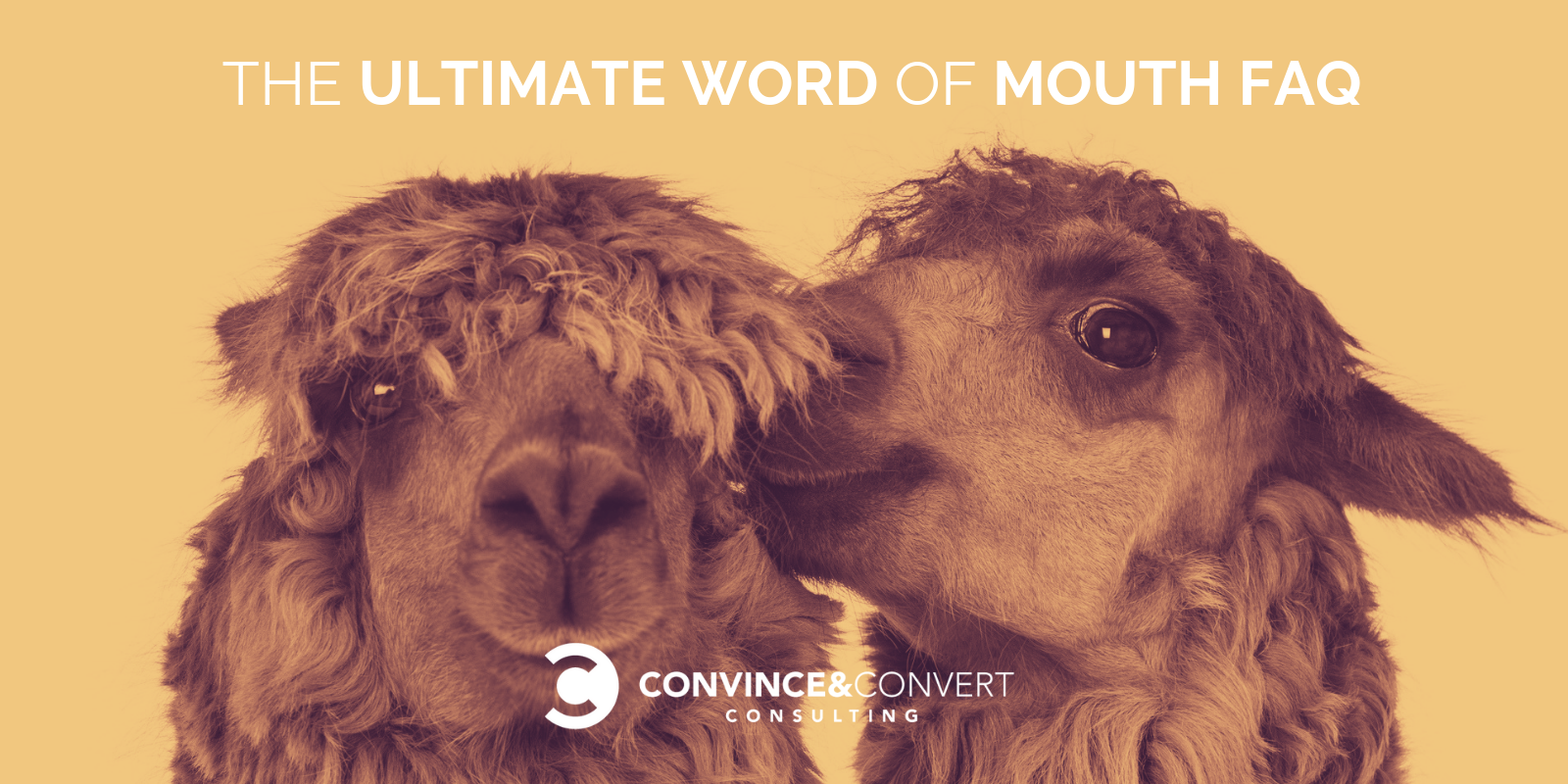 The Ultimate Word of Mouth FAQ