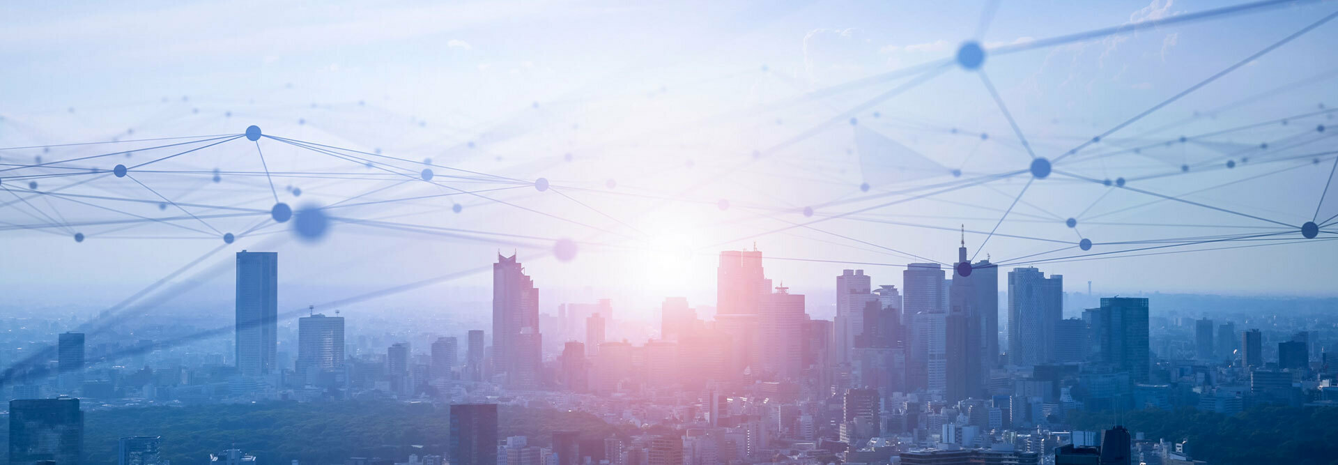 White-label link building services: Why agencies should outsource