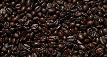 In stable conditions, there's no reason for a species to change