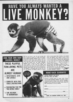 Yes I want a live monkey! - Swipe File