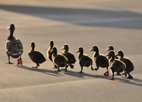 23 Ways to Get More Followers on Instagram [Updated for 2022]