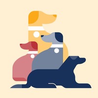 10 Famous Instagram Dogs (And How to Make Your Dog Instagram Famous)