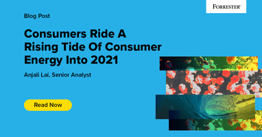 Consumers Ride A Rising Tide Of Consumer Energy Into 2021