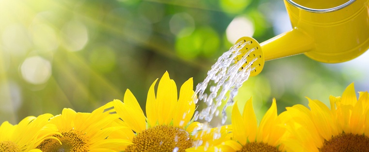 10 Tips for Getting Long-Term Traffic to Your Content