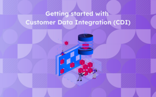 Getting started with Customer Data Integration (CDI)