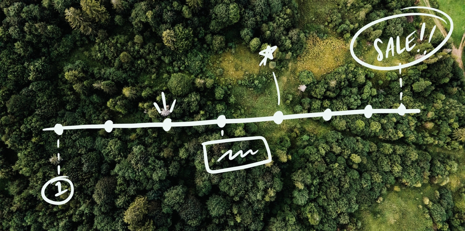 Sales Page creation in 8 steps with examples + tips [free template]