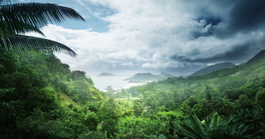 Welcome to the Jungle: What Do Your Social Posts Say About Your Brand?