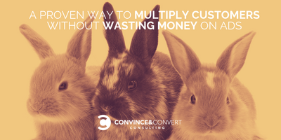 A Proven Way to Multiply Customers without Wasting Money on Ads