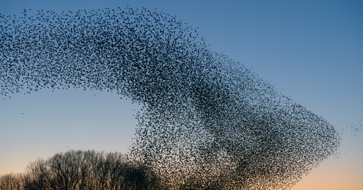 Introduction to Responsible AI