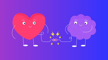 Unleash the Power of Your CDP with a CMP