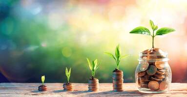 How Does Hatch Help You to Grow Revenue?