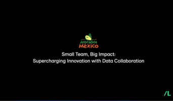 Small Team, Big Impact: Supercharging Innovation with Data Collaboration