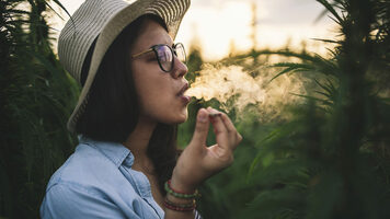 How to Capitalize on Cannabis