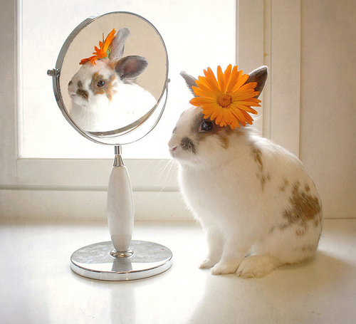 How to Create a Facebook Page Vanity URL