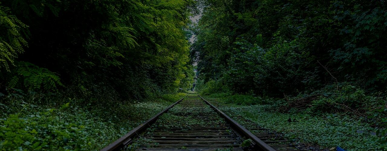 Organic growth more fruitful than acquisitions.