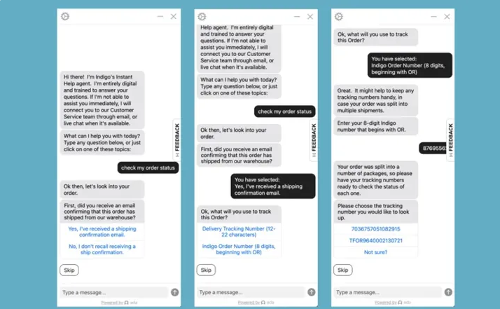 Indigo capitalizes on data-driven customer delivery experiences