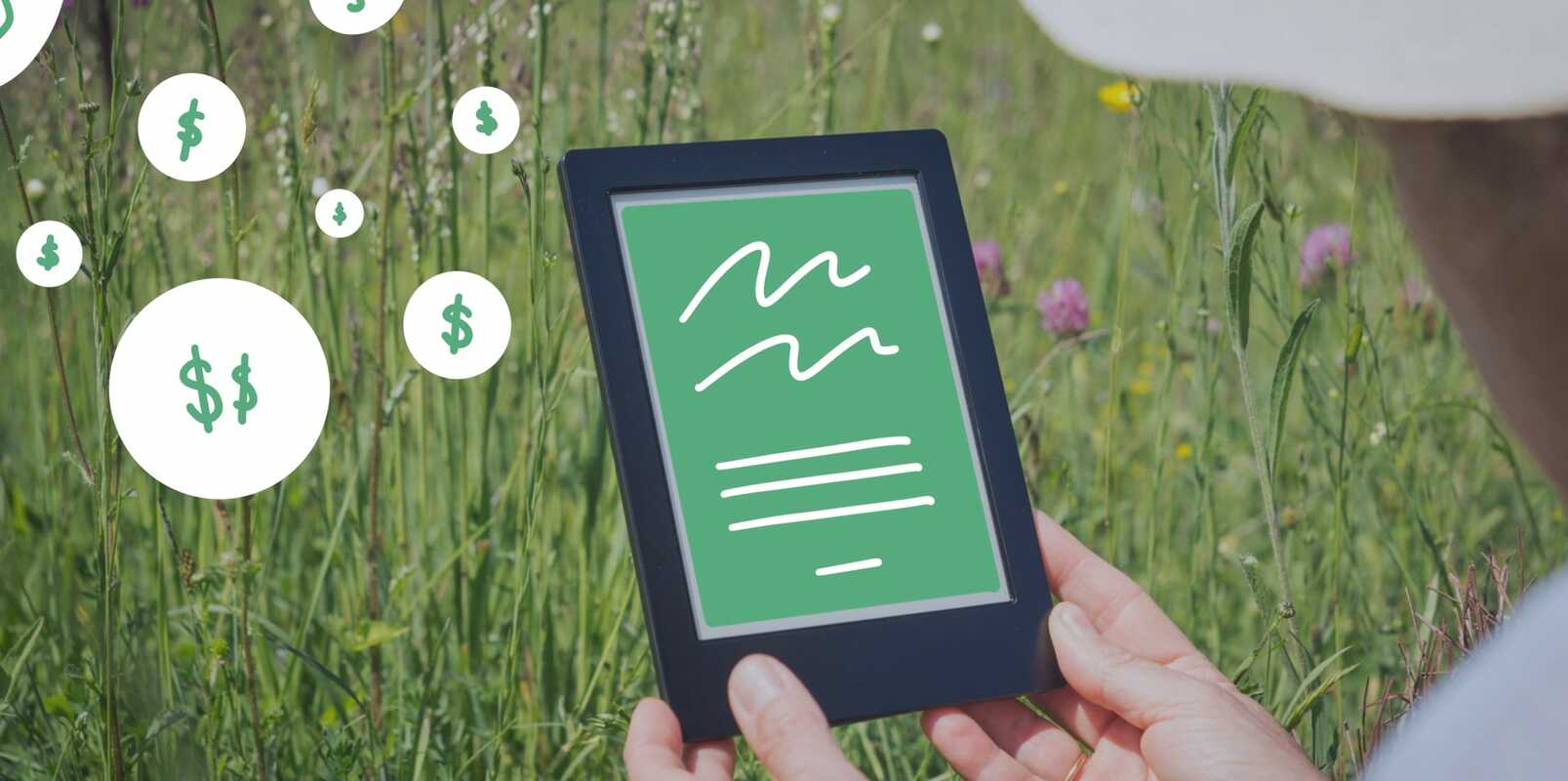 How to make money selling ebooks on your own site