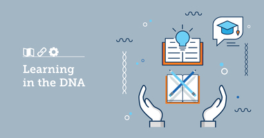 How To Create A Learning Culture And Help Your Organization Grow