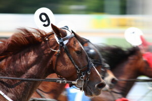 The Big Idea: Train sales people the way they like to learn