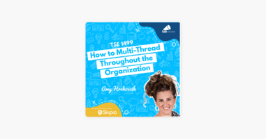 ‎The Sales Evangelist: Amy Hrehovcik | How to Multi-Thread Throughout the Organization on Apple Podcasts