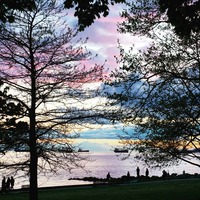 Forr The Planet: Sustainability Interview Series - Akamai