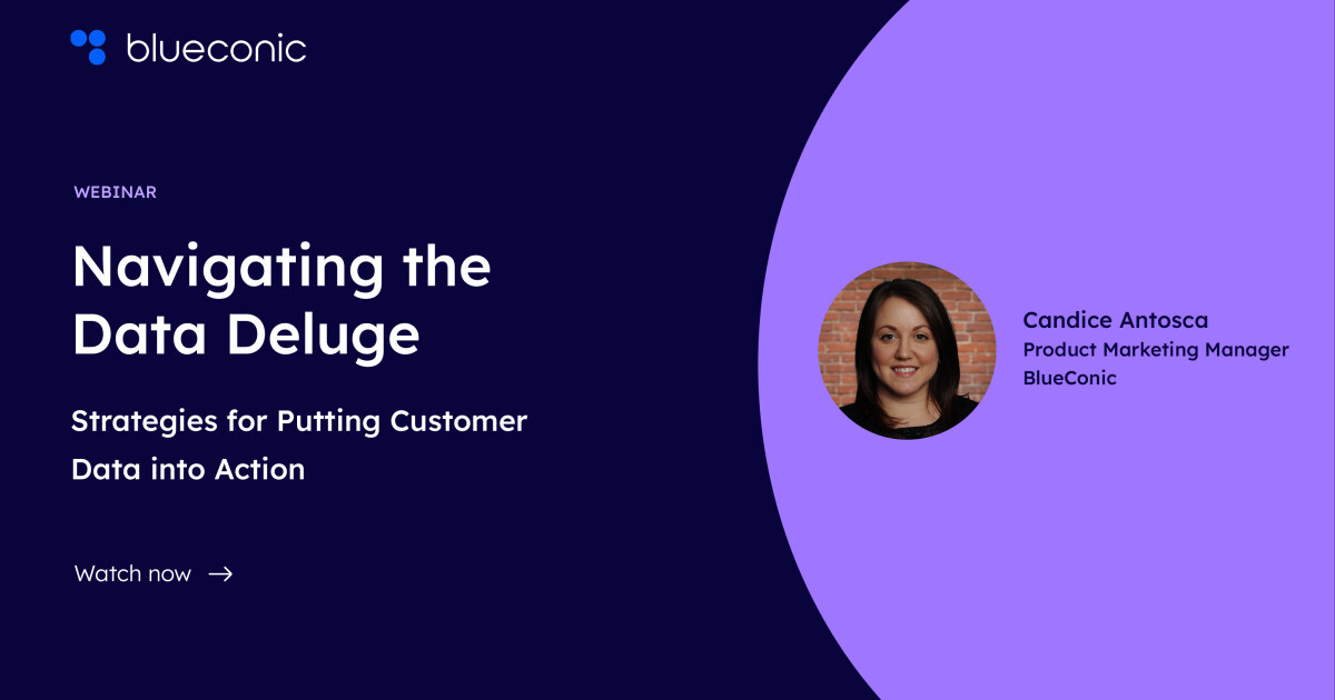 Navigating the Data Deluge: Strategies for Putting Customer Data into Action with Technology Advice