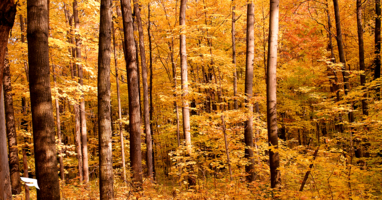 Monthly Social Media Calendar: Get Ready for October.