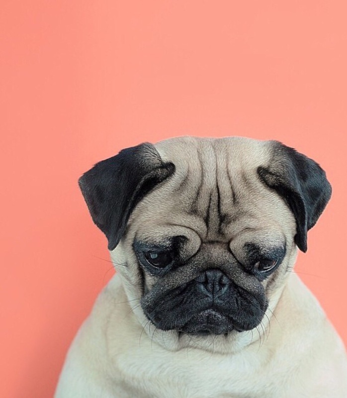 Content Factors you Need to Focus On to Rank Higher