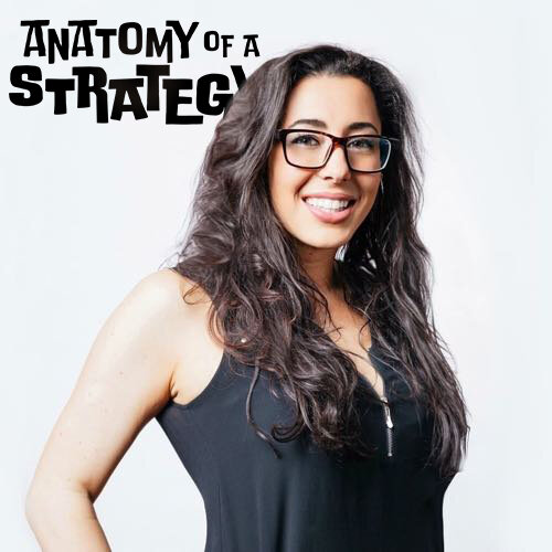 The Anatomy of Customer Insights