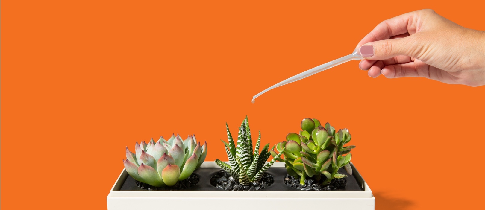 Tactile Marketing: What Is It & Why Sendoso is Rated #1 