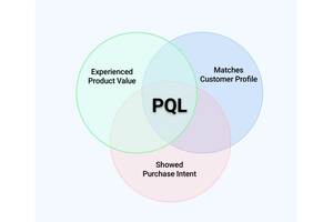 What are PQL's? - the Future of SaaS Growth