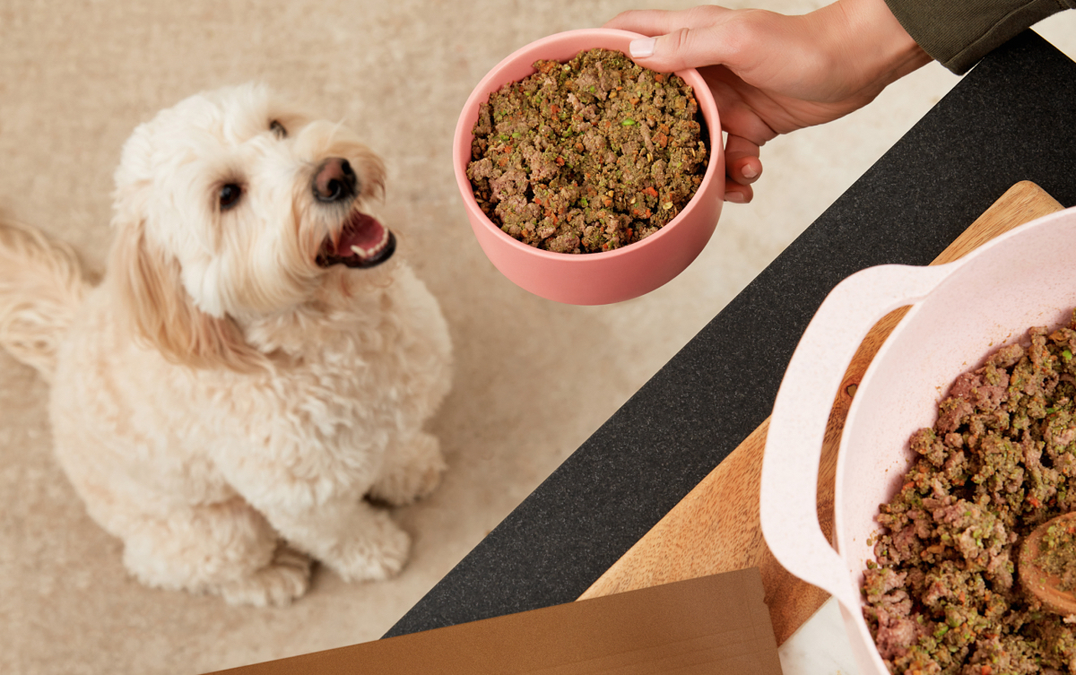 Home made dog food: How Dog Child is helping serve up healthy options for picky pets