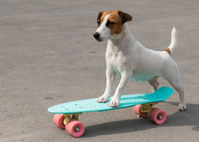 Our Top 50 Marketing Tips for 2022