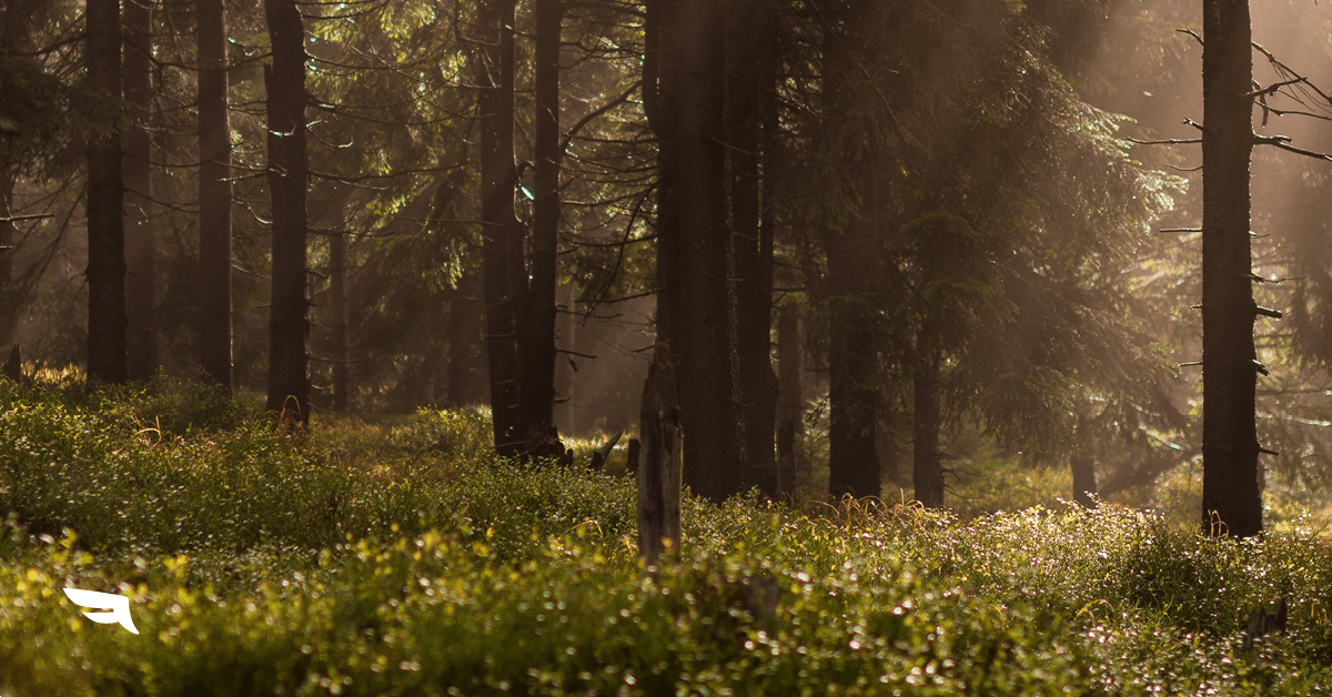 Monthly Social Media Calendar: Get Ready for April 2018.