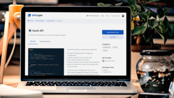 Why Should You Integrate Vault API Into Your System?