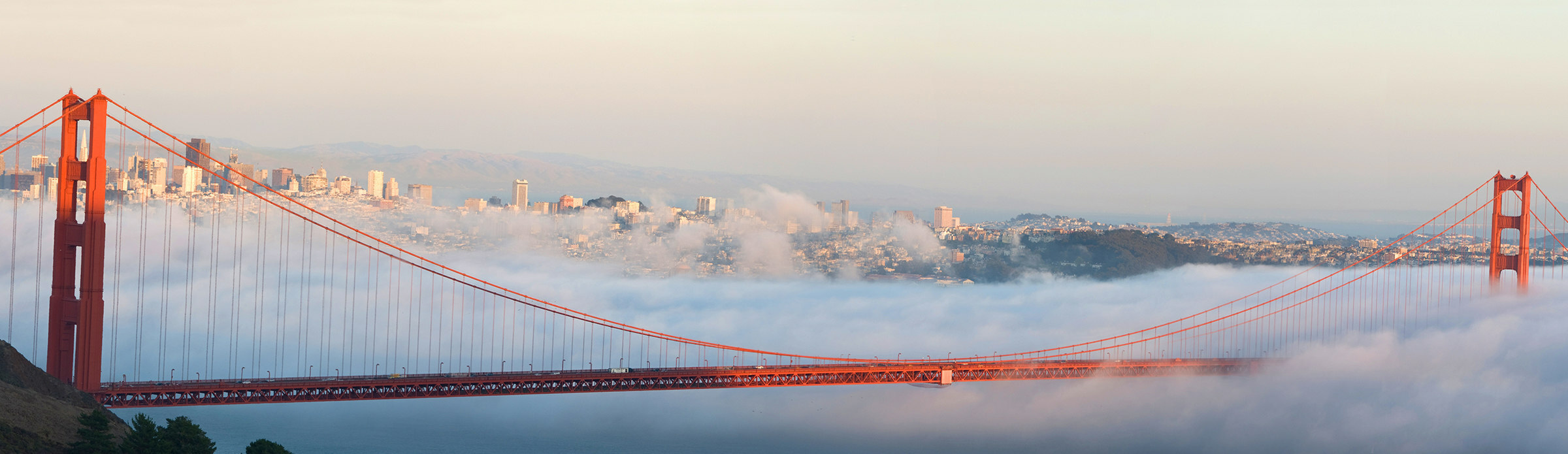 SF Tax Office improves communications with Experience Manager