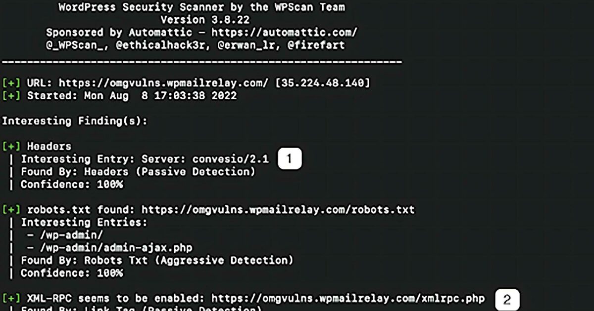 Using an Open-Source Tool to Scan a WordPress Site's Security