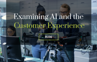 Relationship Marketing: Artificial Intelligence for the Customer Experience