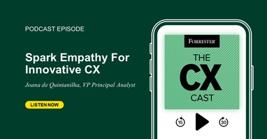 311: Spark Empathy For Innovative CX